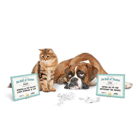Pet Shaming Kit