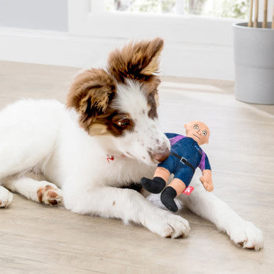 Delivery Person Squeaky Dog Toy