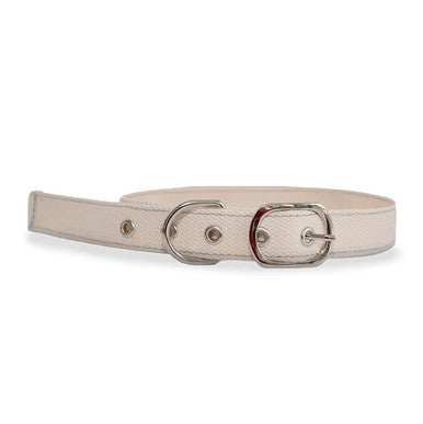 DIY Cross Stitch Dog Collar