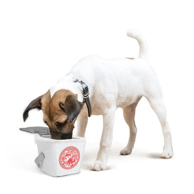 Dog Takeout Lunch Bag