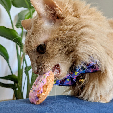 Donut Cat Toy