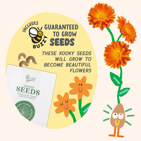 Paint + Grow Orange Planter Kit