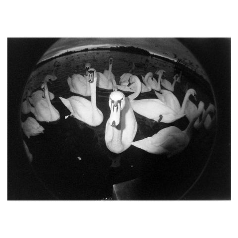 Lomography Fisheye No. 2 Camera, Grape Jam