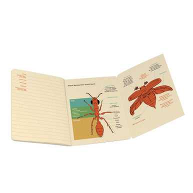 Entomology Mini Notebook
