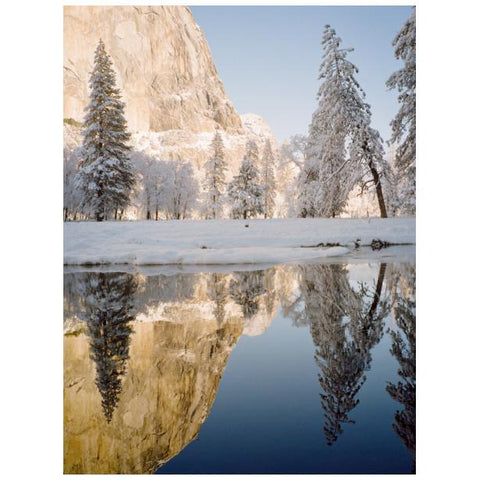 Kodak Gold 200 Color 120 Film, 5-Pack