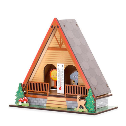 Make Your Own Weather House