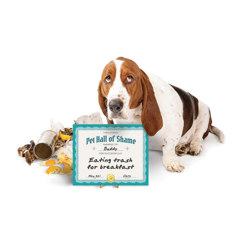 Pet Shaming Kit