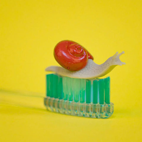Itty Bitty Snail