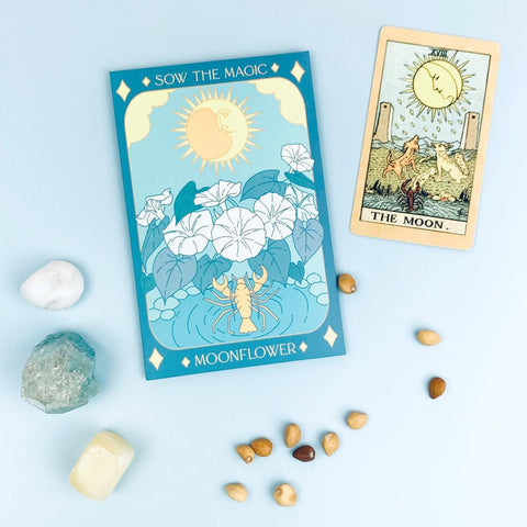 Moon Flower Tarot Seed Packet