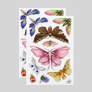 Floraflies Tattoo Sheets