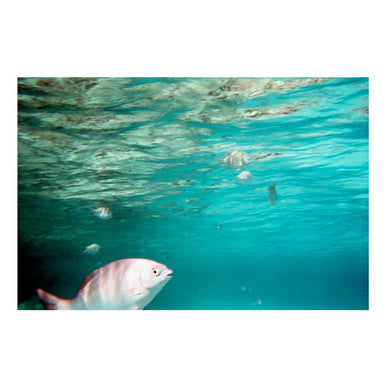 Waterproof QuickSnap 800 ISO Single-Use Camera