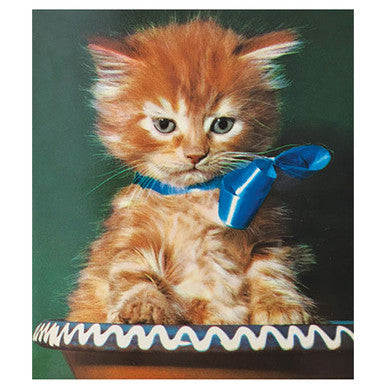 Bow Kitty Simply Purrfect Key Pal