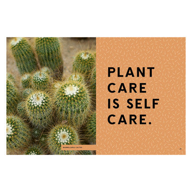 Hi Cacti