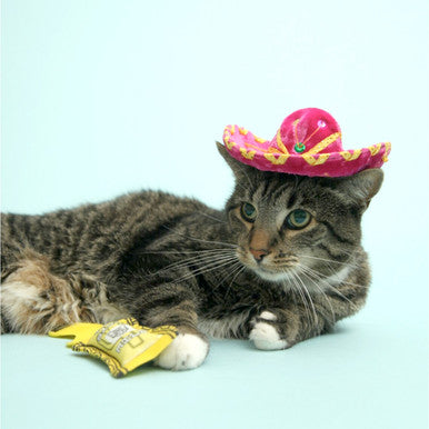 Taco Sauce Packet Cat Toys