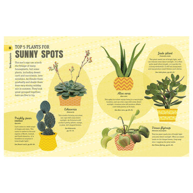 How Not to Kill Your Houseplant