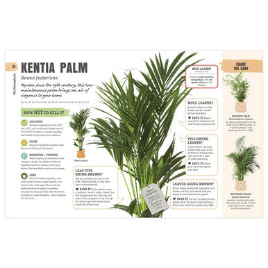 How Not to Kill Your Houseplant