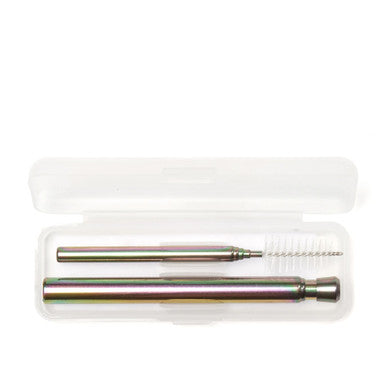 Iridescent Travel Straw