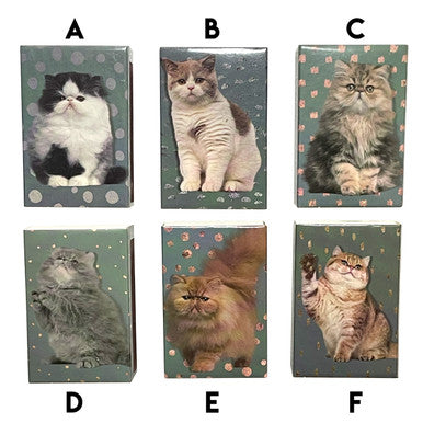 Precious Kitty Matchboxes