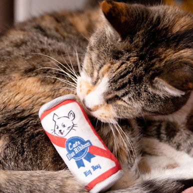 Blue Ribbon Cat Toy
