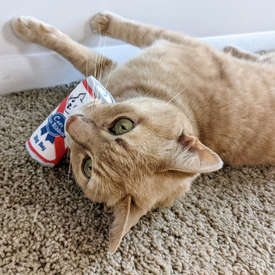 Blue Ribbon Cat Toy