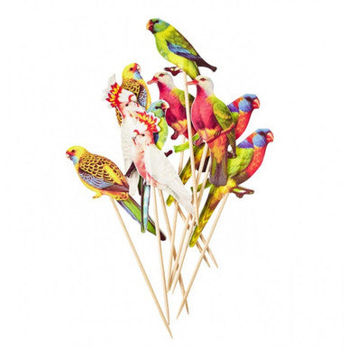 Lovely Budgies Party Picks
