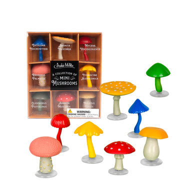 A Collection of Mini Mushrooms