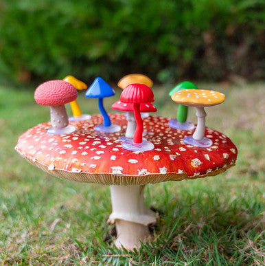 A Collection of Mini Mushrooms