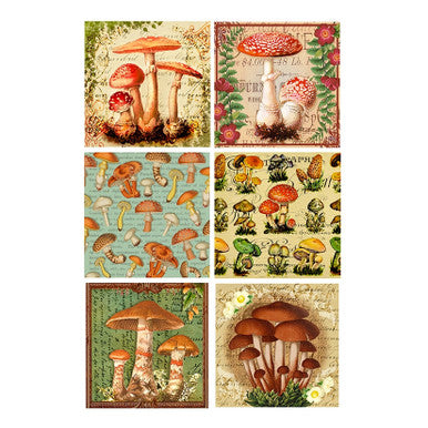 Mushroom Matchboxes