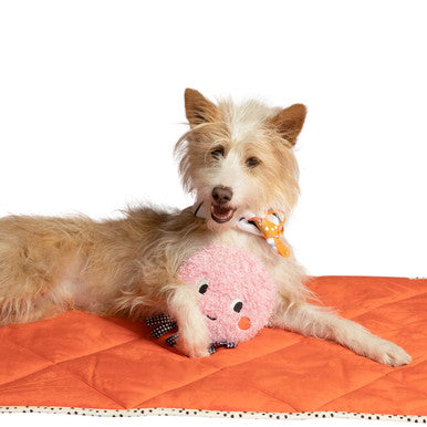 Ocho Dog Toy