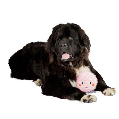 Ocho Dog Toy