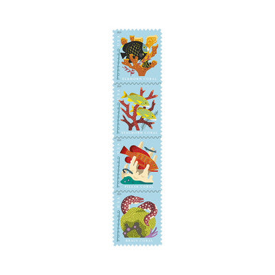 First Class Mail Postcard Stamp