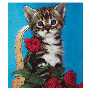 Rose Kitty Simply Purrfect Key Pal