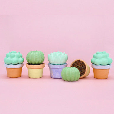 Succulents Sidewalk Chalk