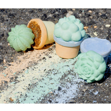 Succulents Sidewalk Chalk