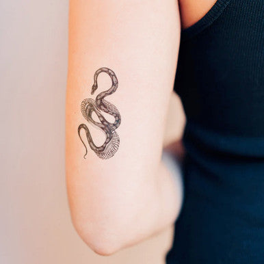 Unfurling Tattoo Sheets