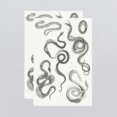 Unfurling Tattoo Sheets