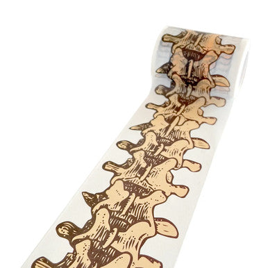 This is Spinal Tape