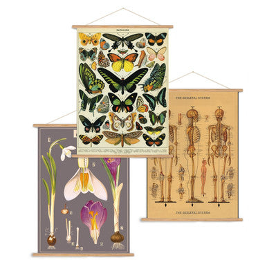Poster Hanging Kit