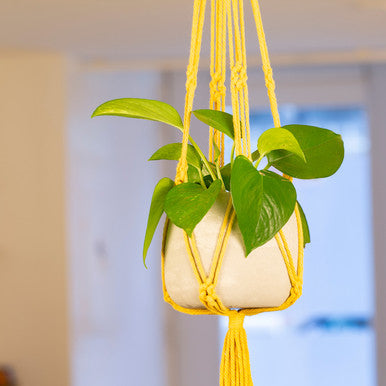 Yellow Macrame Hanging Planter