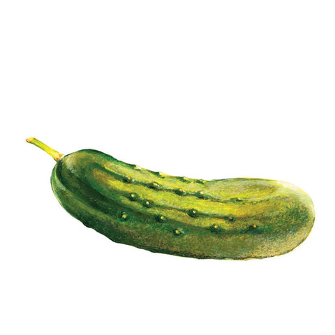 Pickle Tattoos