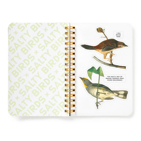 Salty Birds