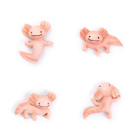 Axolotl Magnets Set