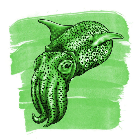 Bobtail Squid Green Ink