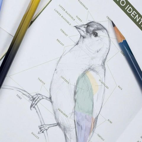 Blackwing Quarterly Zine - Issue 2 (Vol. 458)