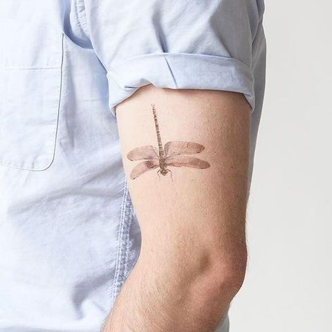 Dragonfly Tattoos