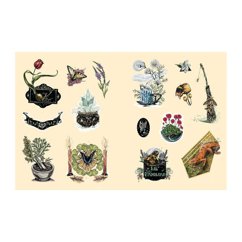 The Green Witch's Sticker Book