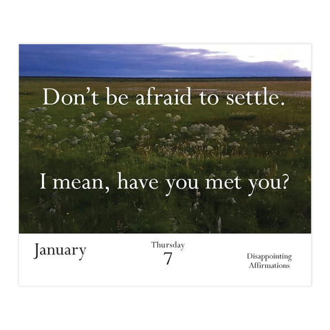 Disappointing Affirmations 2027 Daily Calendar