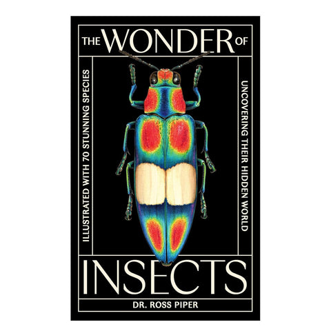 The Wonder of Insects
