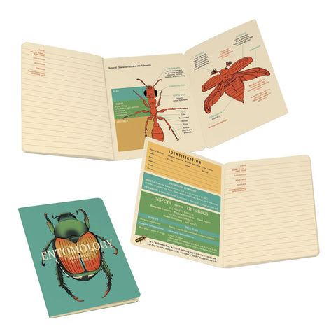 Entomology Mini Notebook