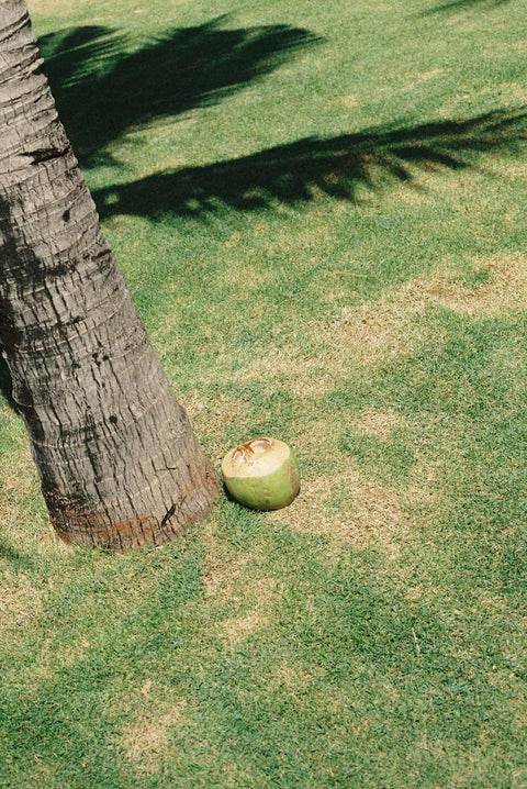 Fragile (Film Safety Capsule) 35mm Film